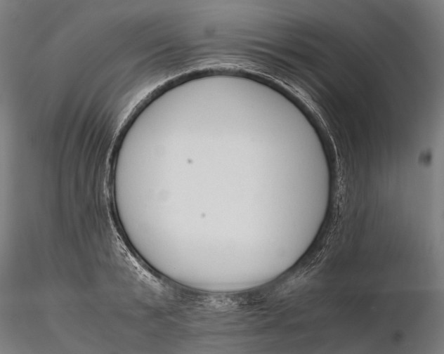 X0000115600799200912011525