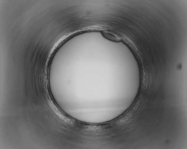 X0000115600800200912011525