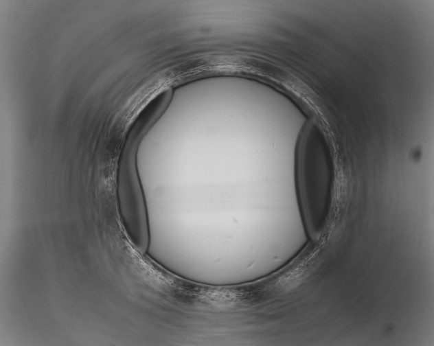 X0000115600801200912011525