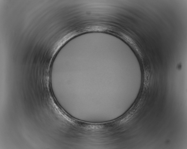 X0000115600802200912011525