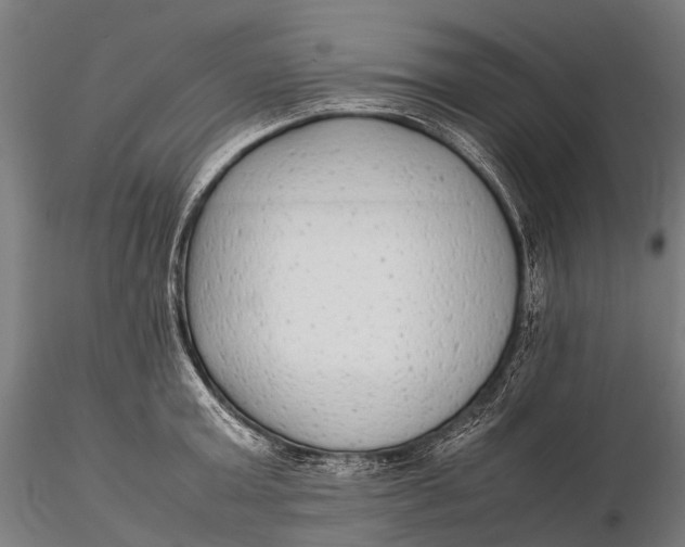 X0000115600803200912011525