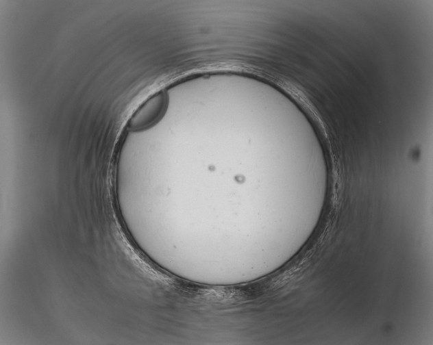 X0000115600805200912011525