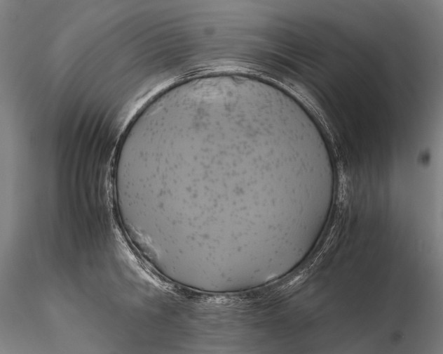 X0000115600806200912011525