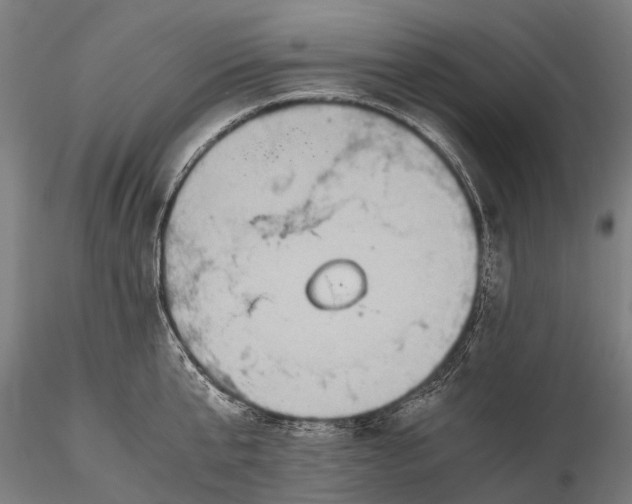 X0000115600807200912011525