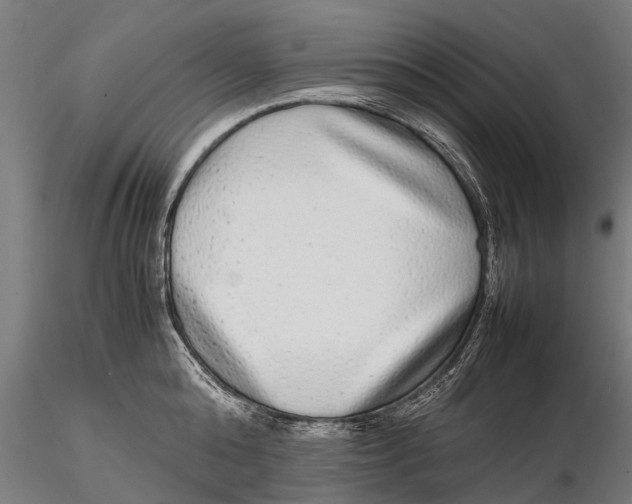 X0000115600808200912011525