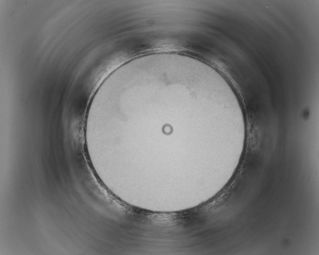 X0000115600810200912011525