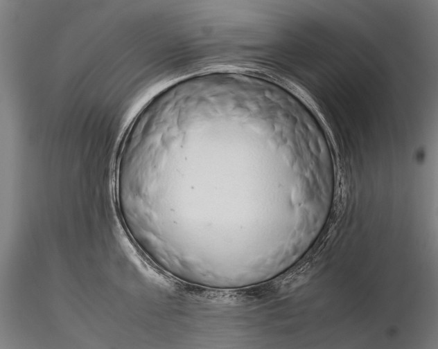 X0000115600811200912011525