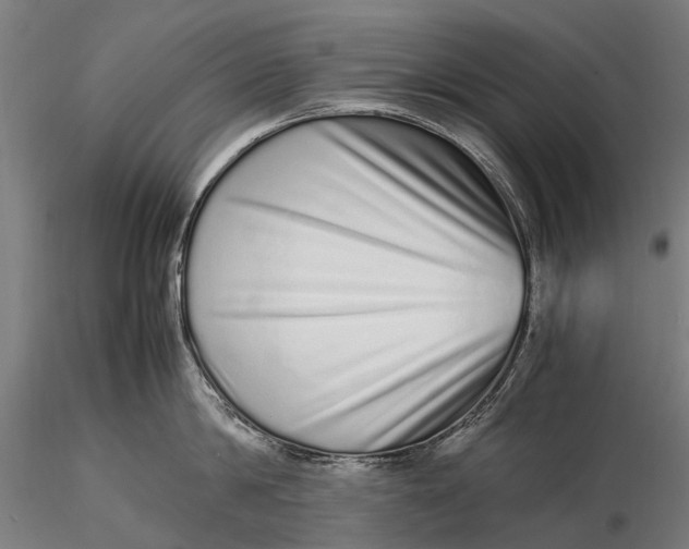 X0000115600814200912011525