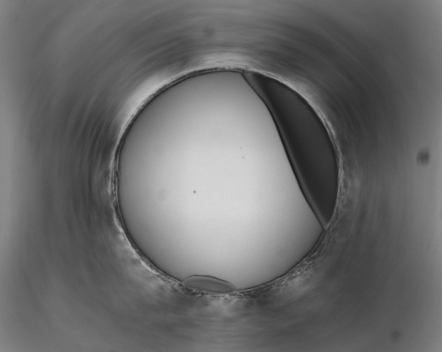 X0000115600815200912011525