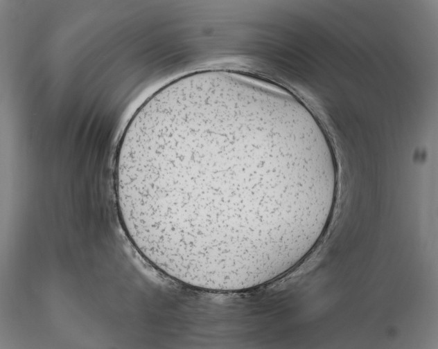 X0000115600816200912011525