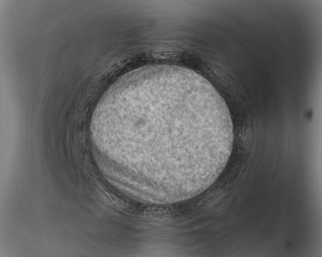 X0000115600817200912011524