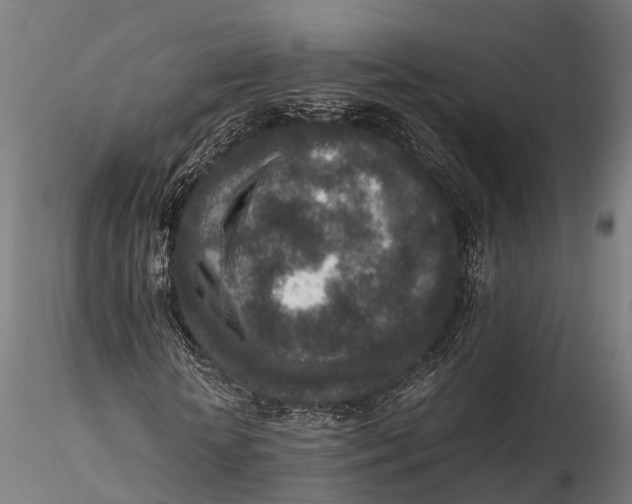 X0000115600818200912011524