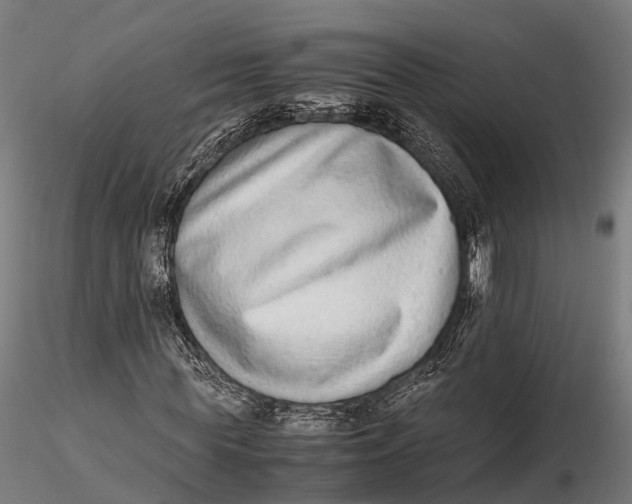 X0000115600819200912011524