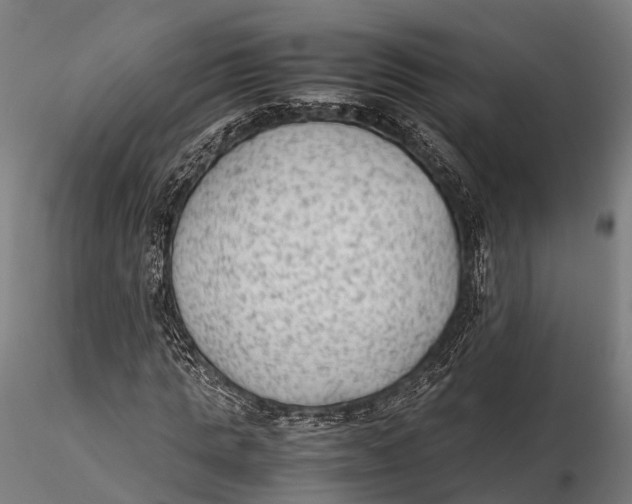 X0000115600821200912011524