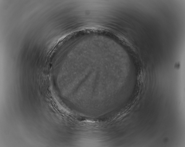 X0000115600822200912011524