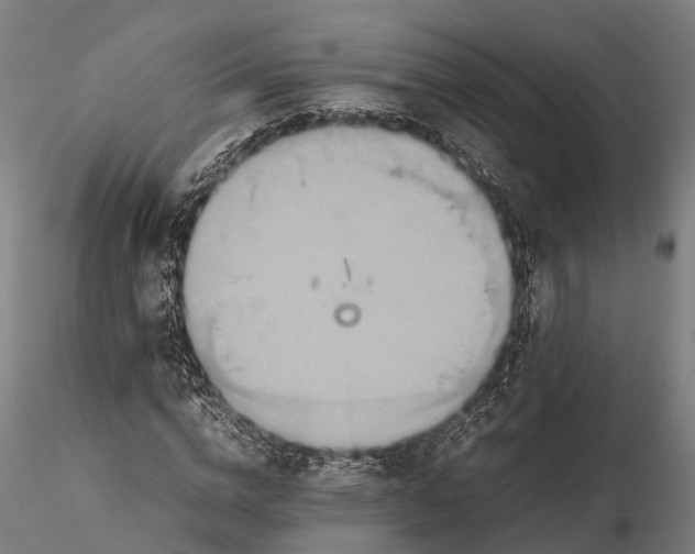 X0000115600824200912011524