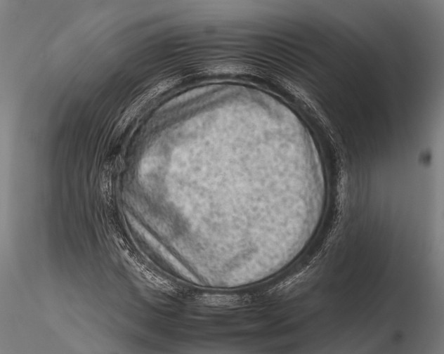 X0000115600825200912011524