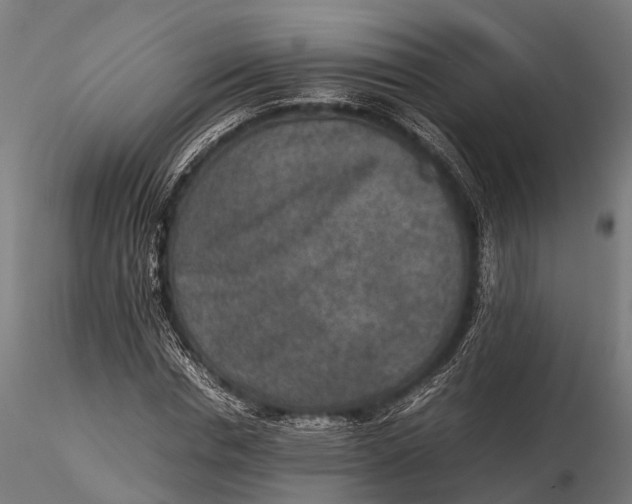 X0000115600826200912011524