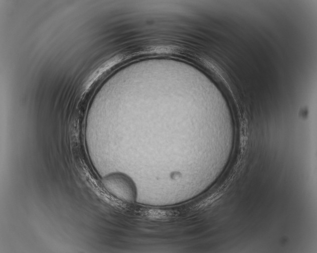 X0000115600827200912011524