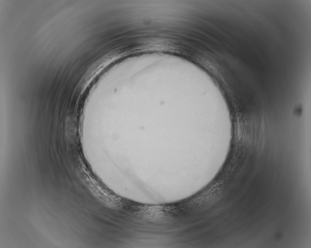 X0000115600828200912011524