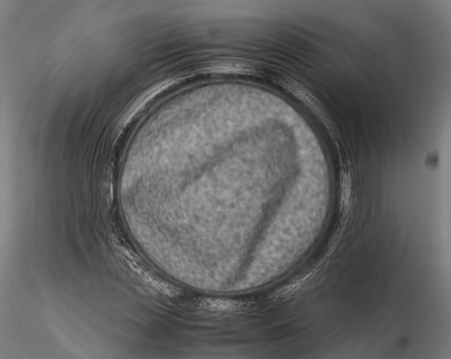 X0000115600829200912011524