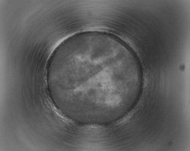 X0000115600830200912011524