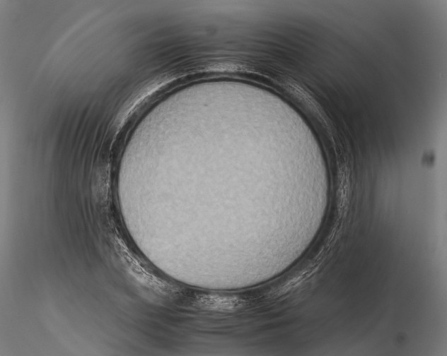 X0000115600831200912011524