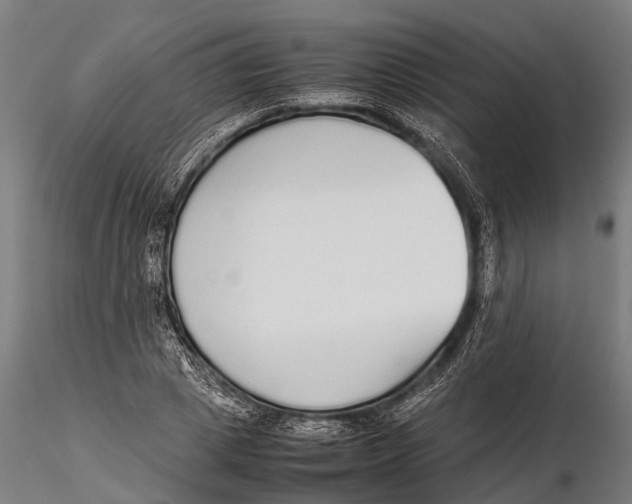 X0000115600833200912011524