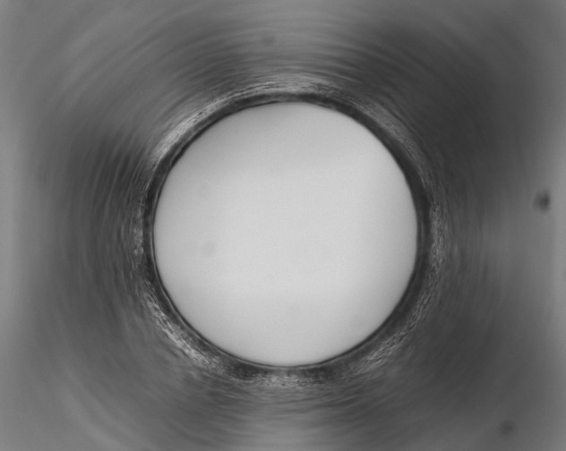 X0000115600834200912011524