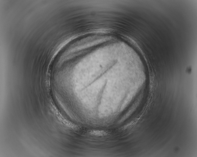 X0000115600835200912011524