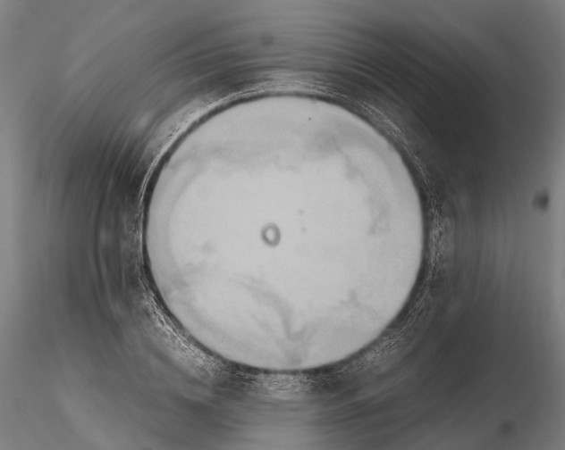 X0000115600836200912011524