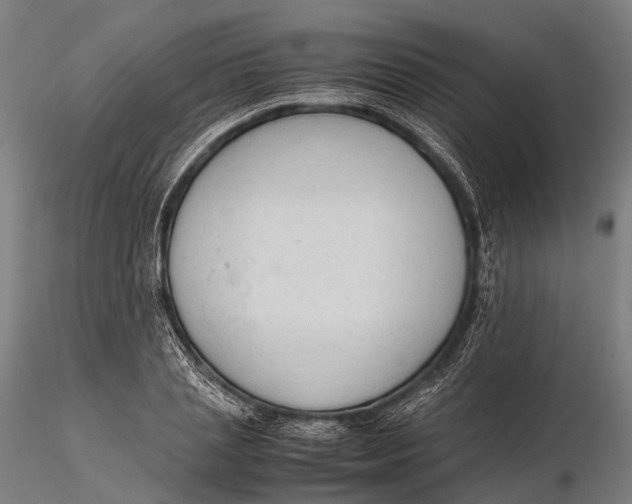 X0000115600837200912011524