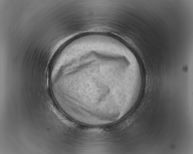 X0000115600838200912011524