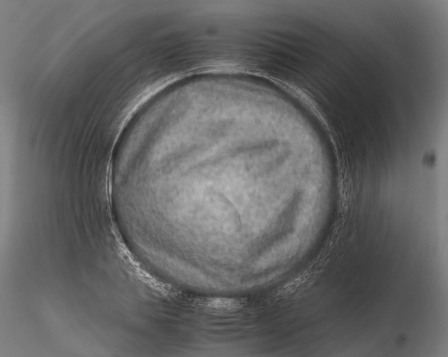 X0000115600839200912011524