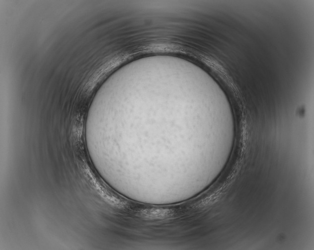 X0000115600841200912011524