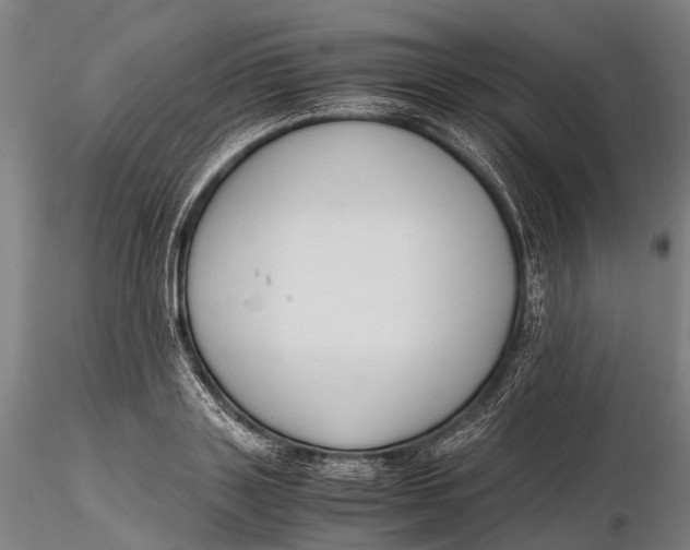 X0000115600843200912011525