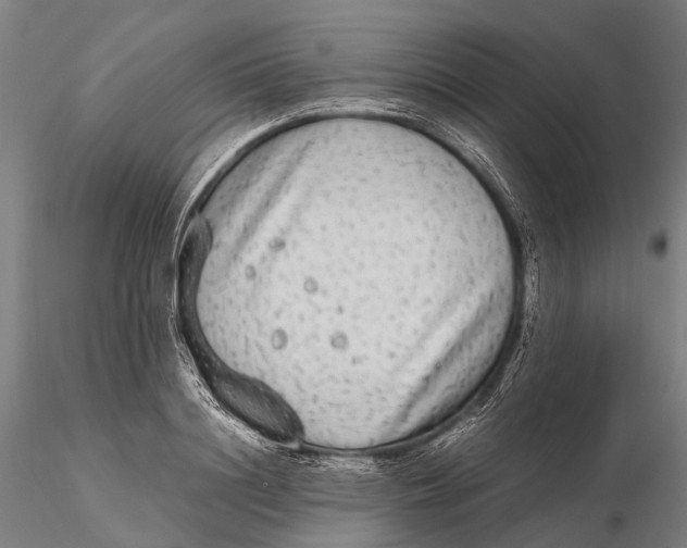 X0000115600844200912011525