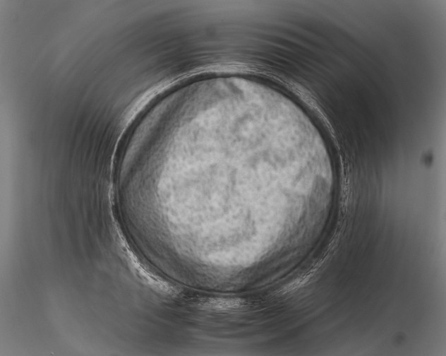 X0000115600845200912011525