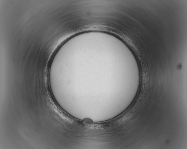 X0000115600846200912011525