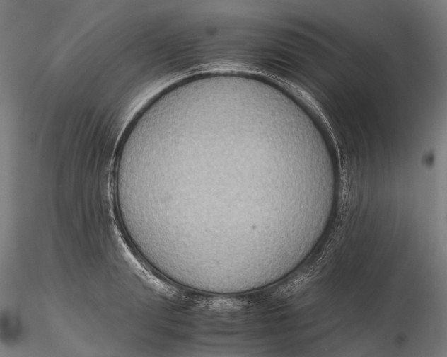 X0000115600847200912011525