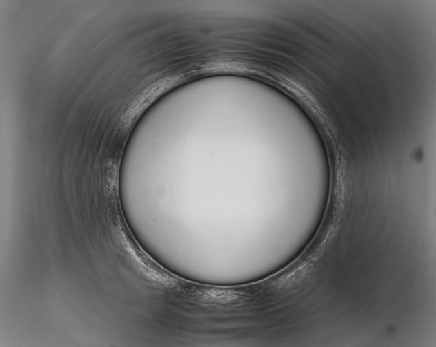 X0000115600849200912011525