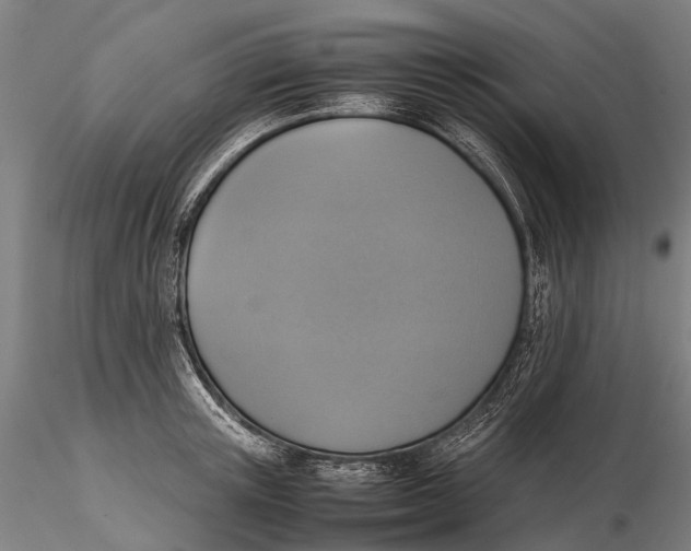 X0000115600851200912011525