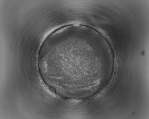 X0000115600854200912011525