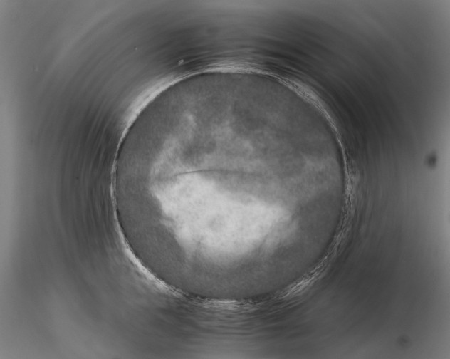 X0000115600855200912011525