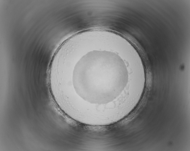 X0000115600856200912011525