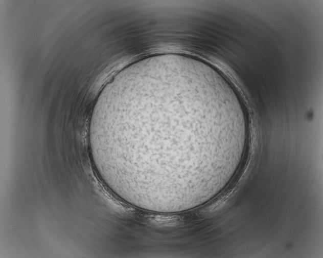 X0000115600857200912011525