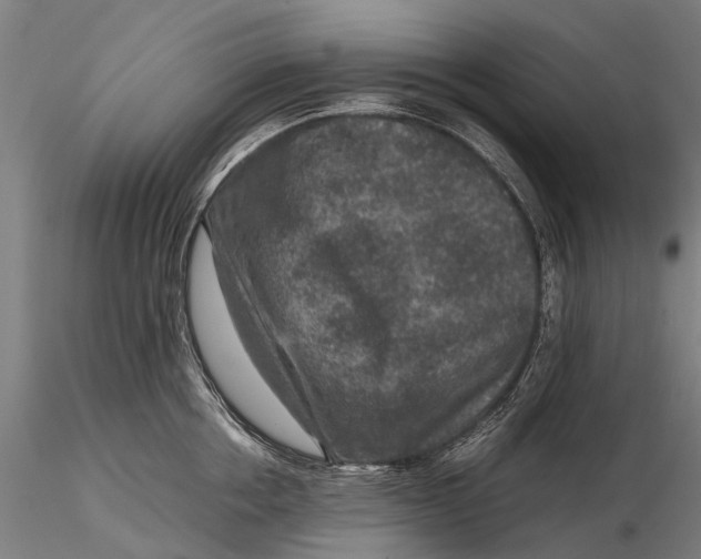 X0000115600858200912011525