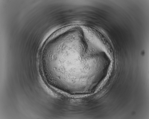 X0000115600859200912011525