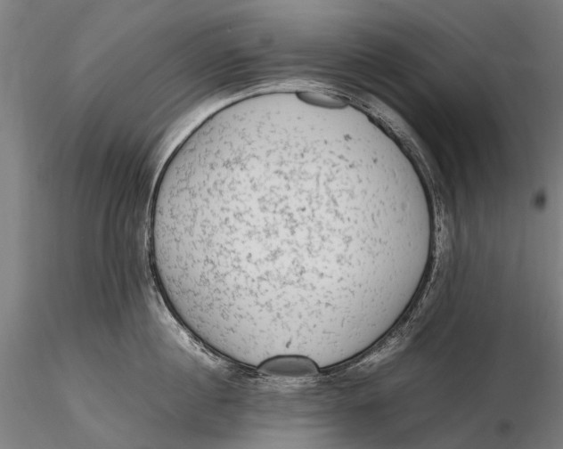 X0000115600860200912011525