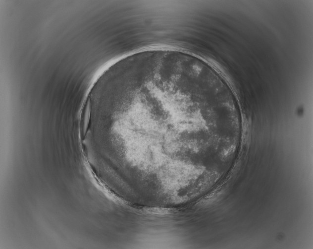 X0000115600862200912011525